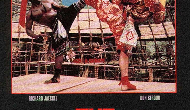 The King of the Kickboxers&nbsp;(1990)